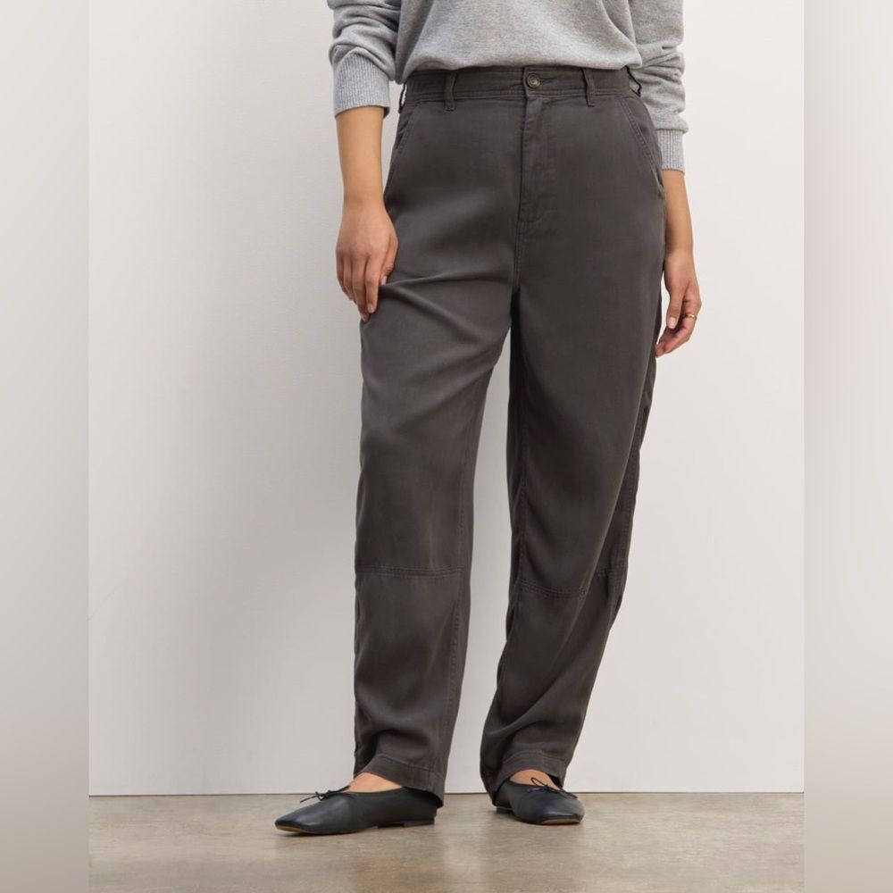 NWOT Everlane THE CHINO IN BUTTERSOFT in Graphite Size 2